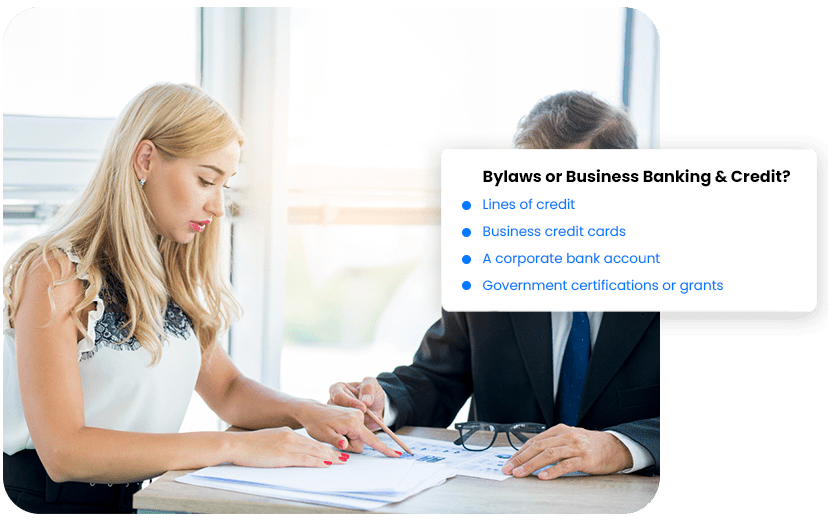 Why Bylaws Are Essential for Business Banking & Credit?